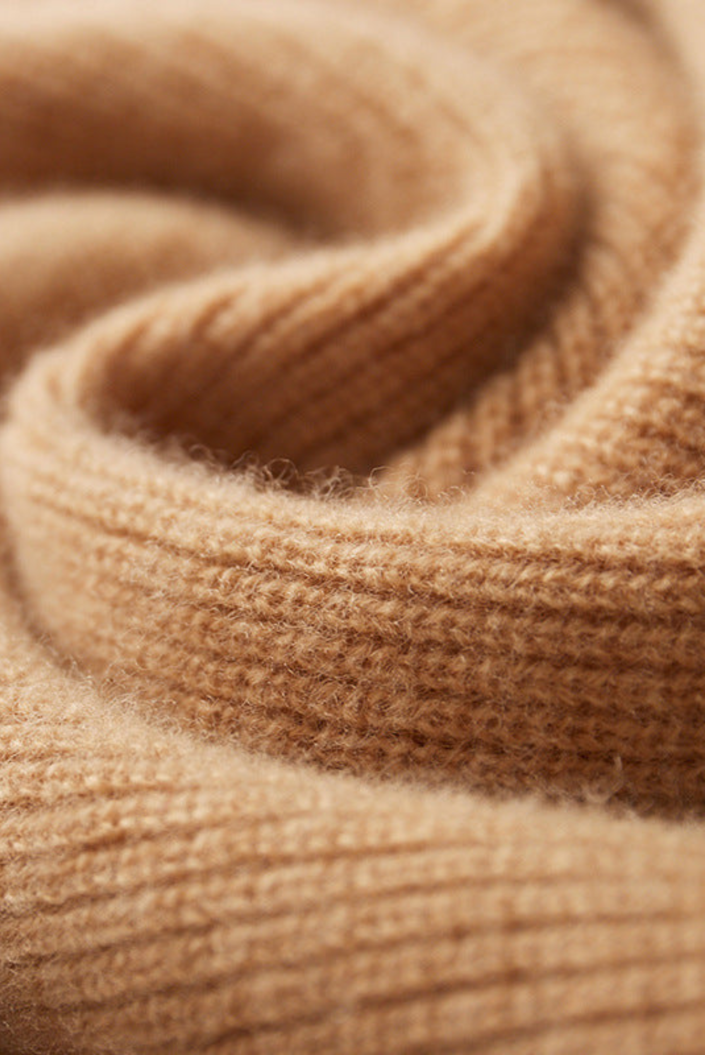 Tan Donati Wool Jogger Set